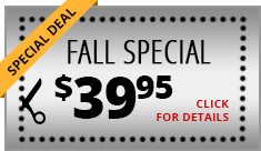 special deal fall special click for details