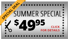 special deal summer special click for details
